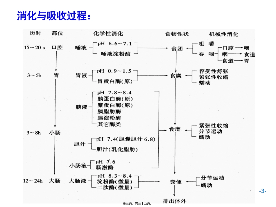 AC6消化1施建蓉_第3页