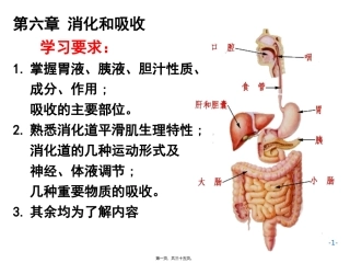 AC6消化1施建蓉