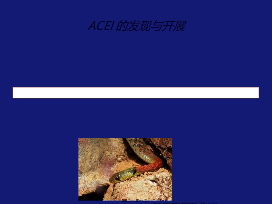 ACEI的广泛药理作用及其重要循证证据_第3页