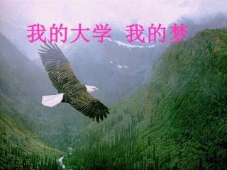 228班立志主题班会