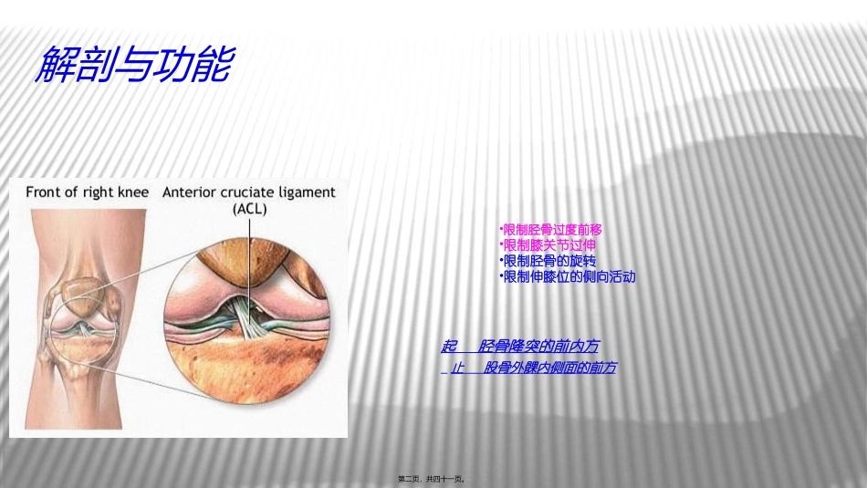 ACL损伤与康复_第2页