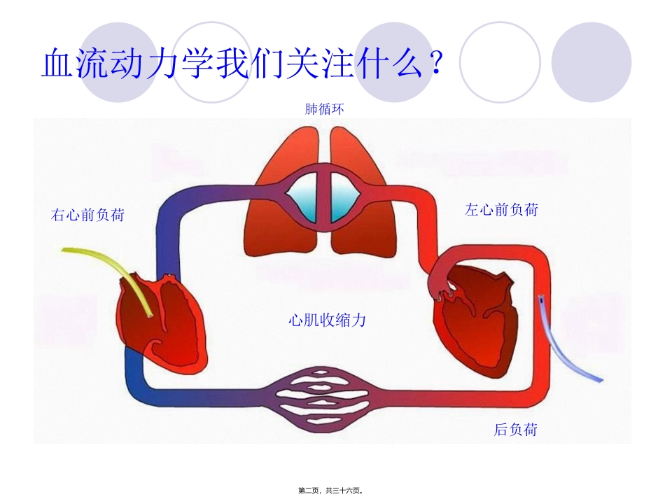 PICCO参数解读与血流动力学_第2页