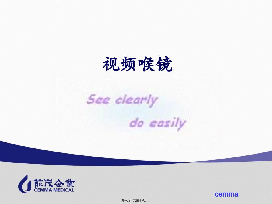GlideScope视频喉镜介绍_第1页