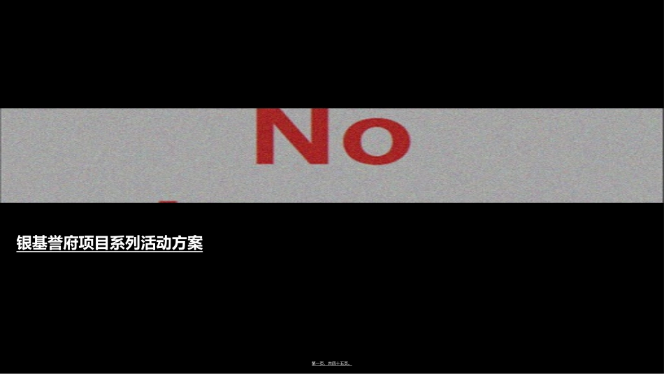 达观洲悦马戏团活动执行案_第1页