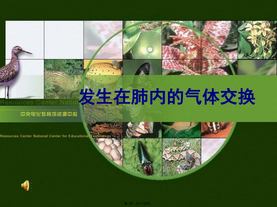 432发生在肺内的气体交换.ppt_第1页