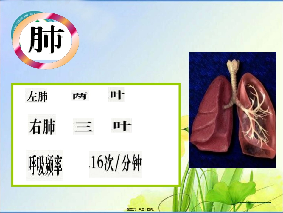 432发生在肺内的气体交换.ppt_第3页