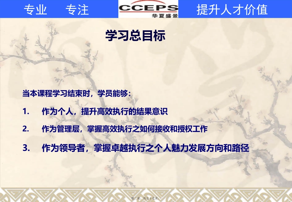 打造高效执行力讲义_第2页