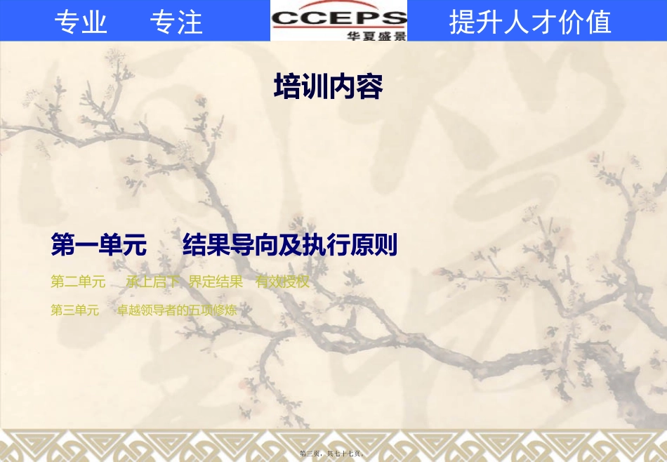 打造高效执行力讲义_第3页