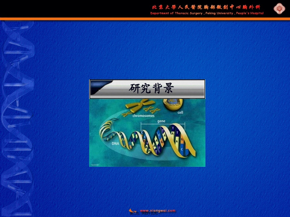 gP96多肽复合物／树突状细胞疫苗研究_第2页