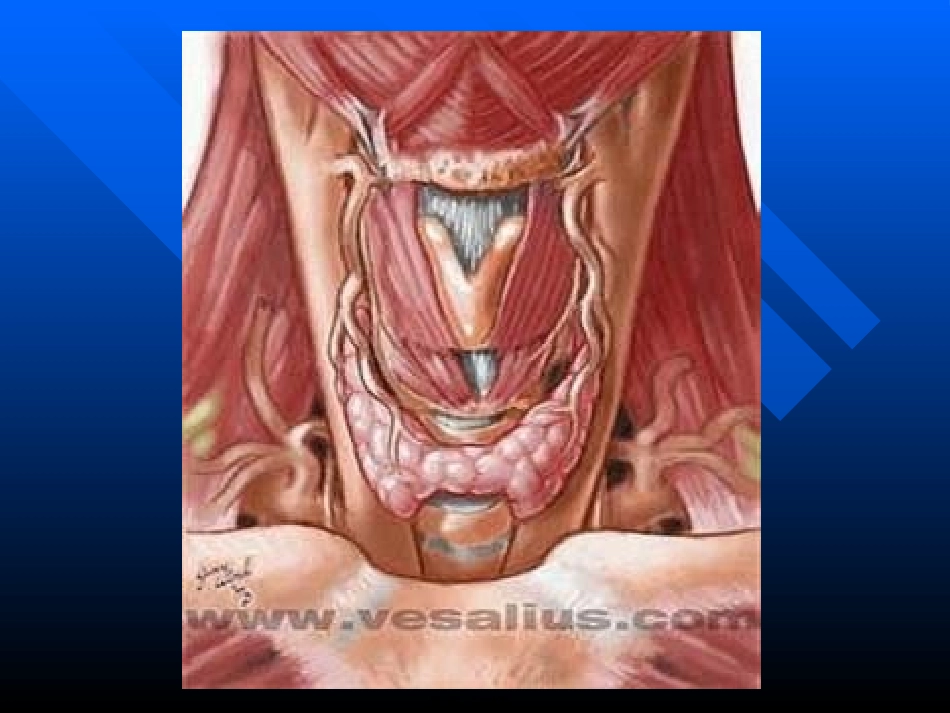 Graves病诊治新思路huang_第1页