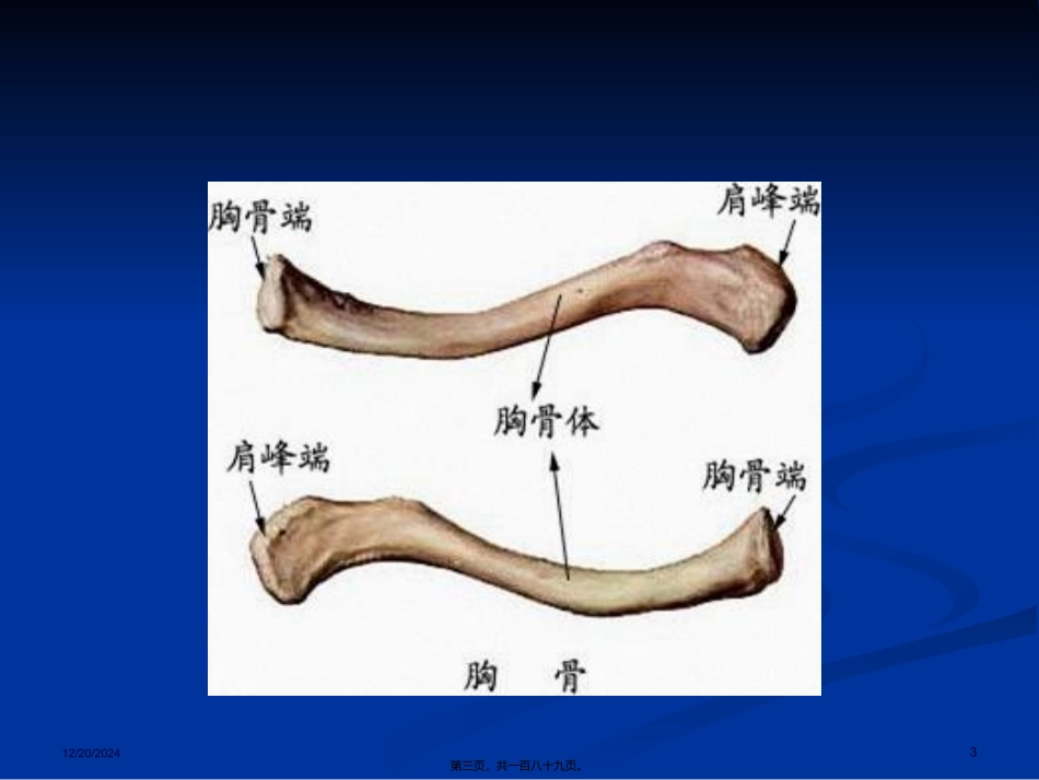 507上肢骨、关节损伤1_第3页