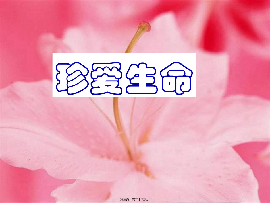 安全-游戏主题班会.ppt_第3页