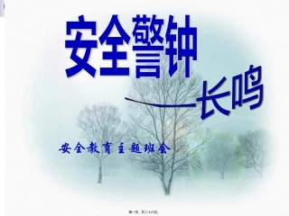 安全-游戏主题班会.ppt