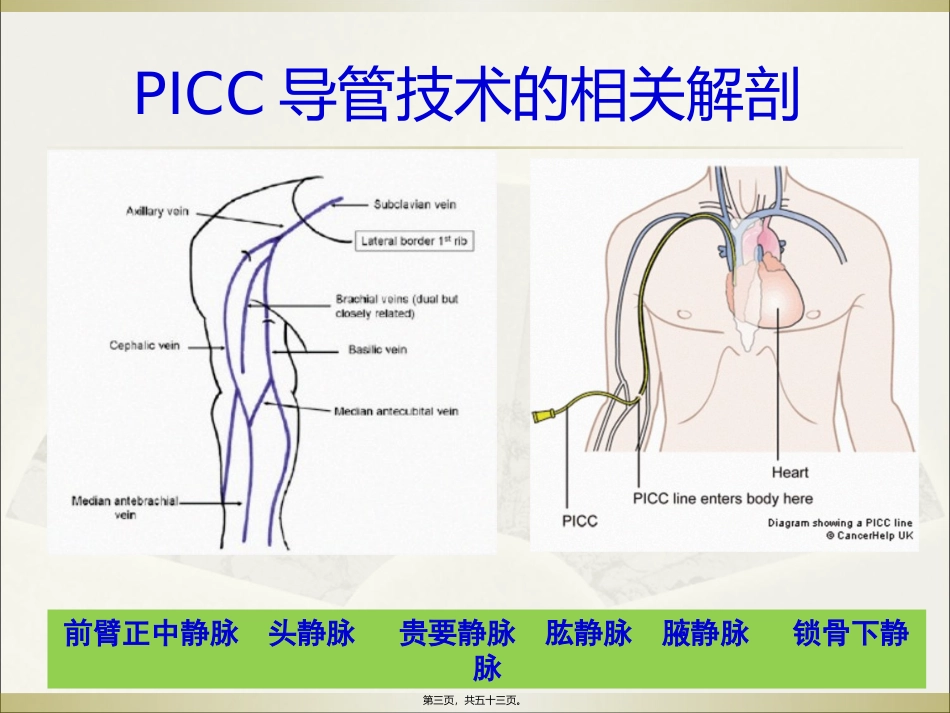 PICC导管头端定位与并发症处理_第3页