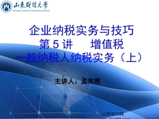 第5讲---增值税-一般纳税人纳税实务(上)
