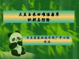 大豆玉米田杂草难治杂草防除讲义