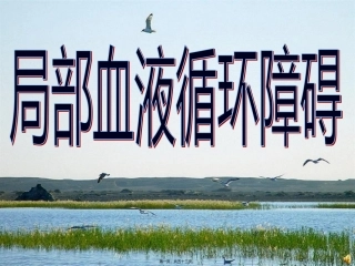 G局部血液循环障碍1