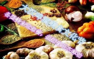 大汉集团桃江美食节活动