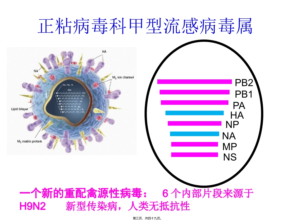 H7N9流感诊疗20134_第3页