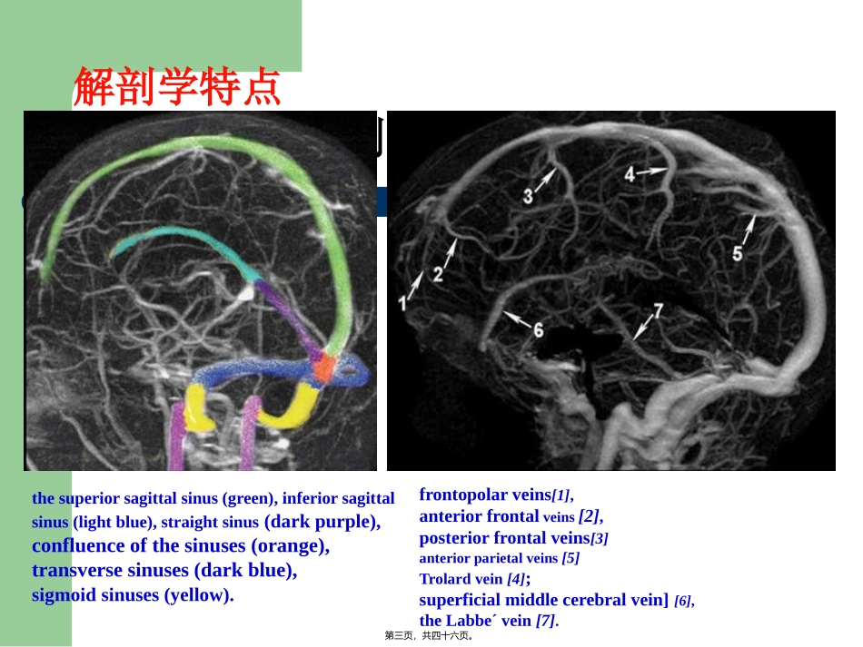 AHA-静脉血栓形成20130519_第3页