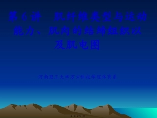 第6讲-肌纤维类型与运动能力