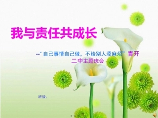 11月6日主题班会：我与责任共成长资料