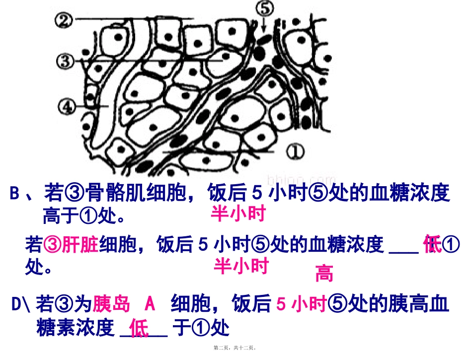 12、23理综讲评剖解_第2页