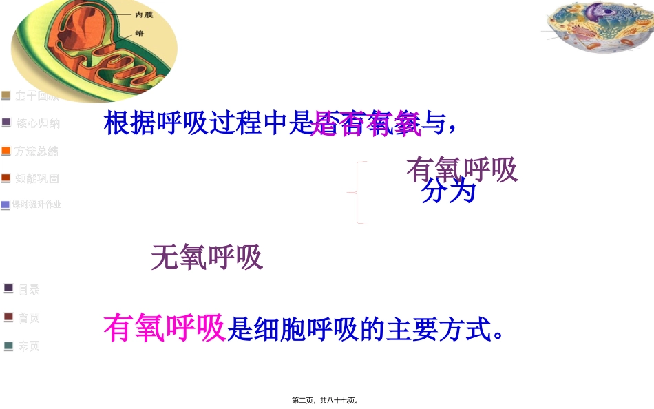 918细胞呼吸适合一轮复习自己做的公开课_第2页