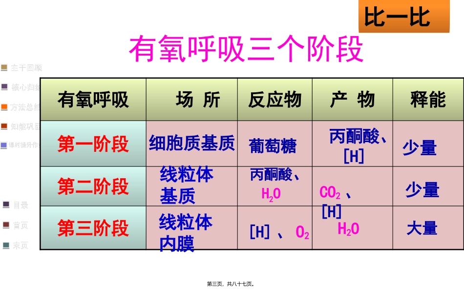 918细胞呼吸适合一轮复习自己做的公开课_第3页