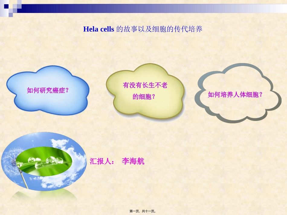 Hela细胞的研究及对癌症研究的贡献_第1页