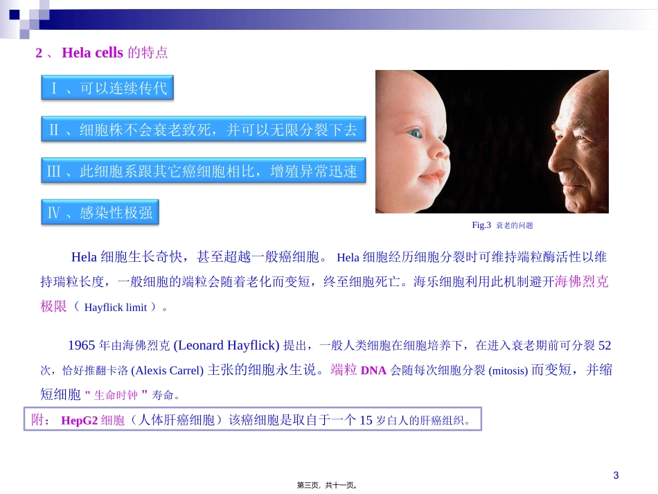 Hela细胞的研究及对癌症研究的贡献_第3页