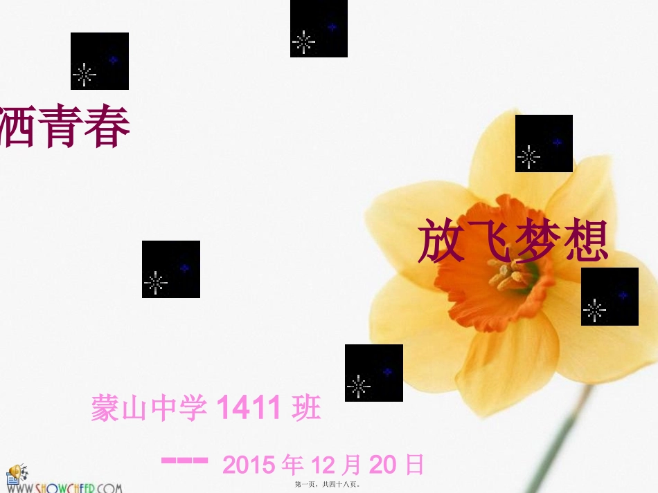 1411挥洒青春、放飞梦想主题班会ppt_第1页