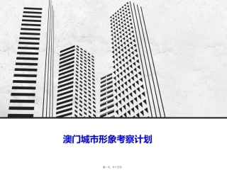 澳门城市形象调查