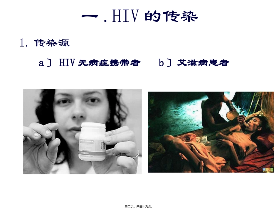 HIV的传染和致病_第2页