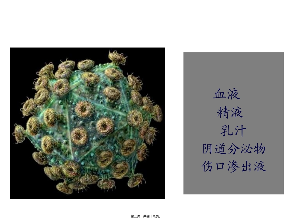 HIV的传染和致病_第3页