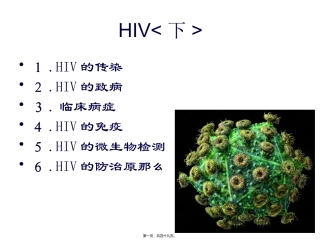 HIV的传染和致病