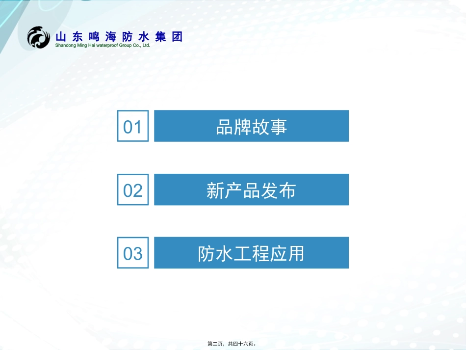 带讲义MHR多功能粘连防水胶_第2页
