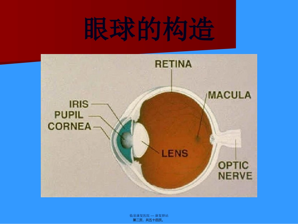 白内障知识讲座_第2页