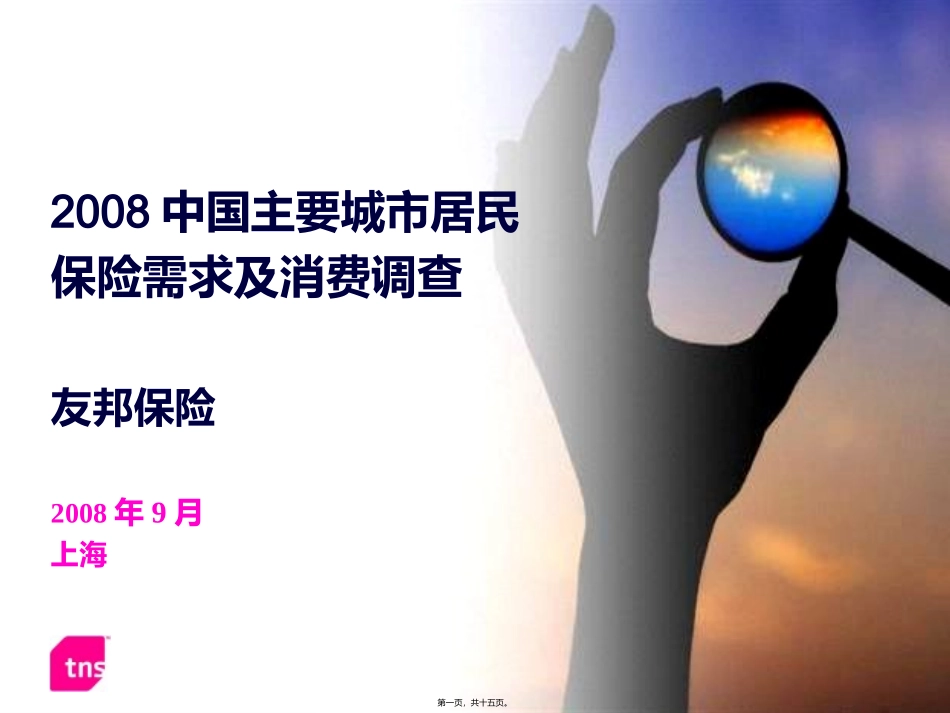 2008中国主要城市居民保险需求及消费调查-2008-09-06_第1页