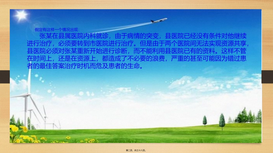 HL7卫生健康标准_第2页