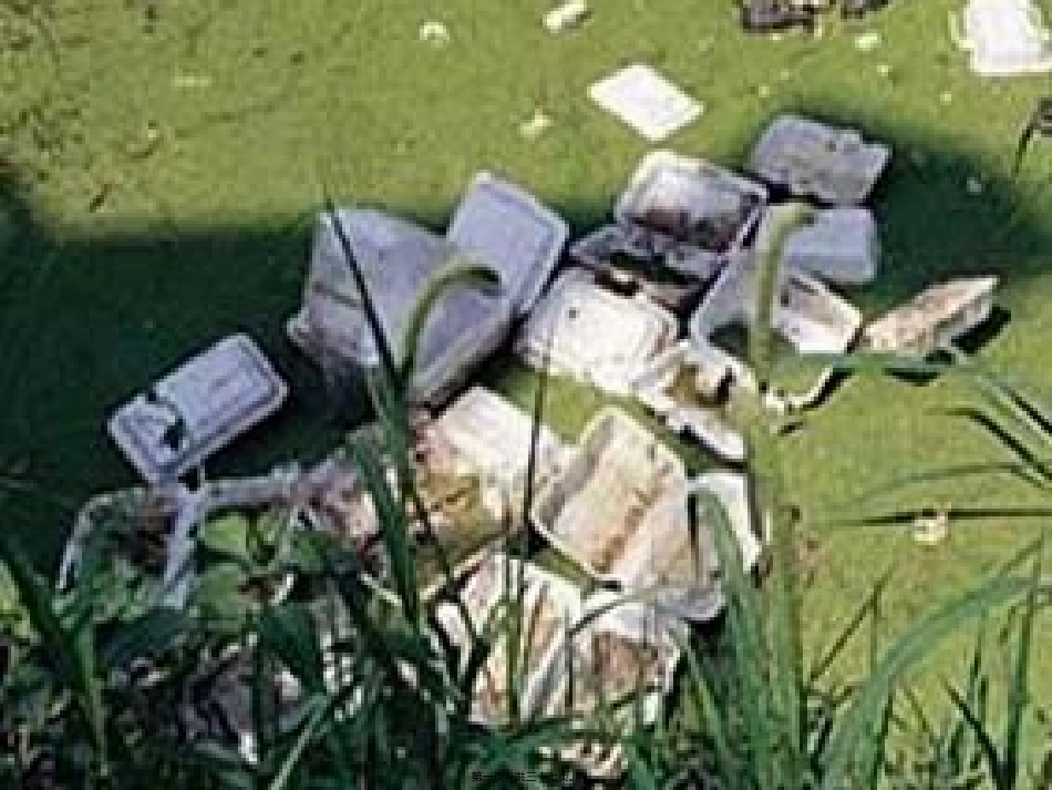 白色污染的调查_第1页