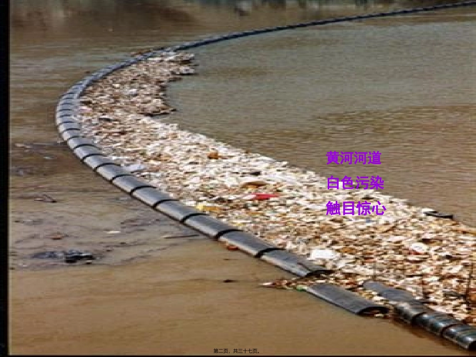 白色污染的调查_第2页