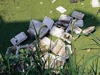 白色污染的调查