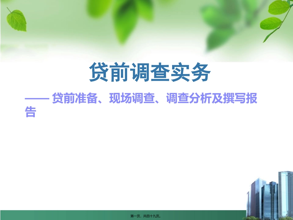 贷款业务现场调查素材_第1页