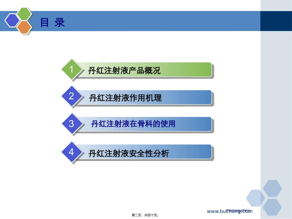 丹红注射液骨科片资料_第2页