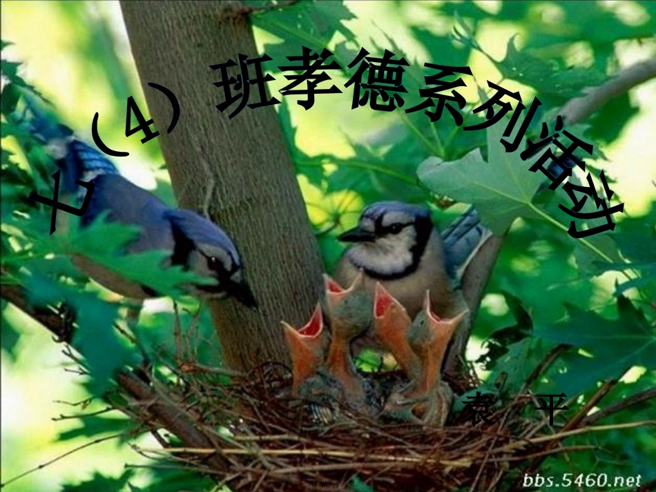 百善孝为先——感恩父母主题班会_第1页