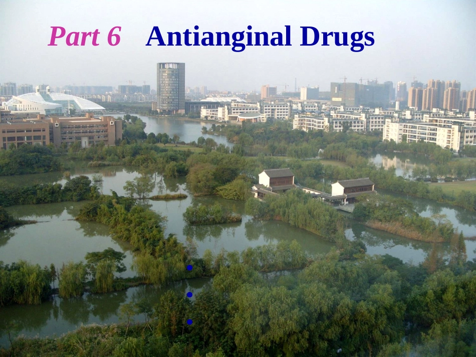 Antianginal-Drugs(抗心绞痛药)_第1页