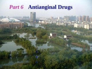 Antianginal-Drugs(抗心绞痛药)