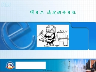 PPT2-选定调查目标