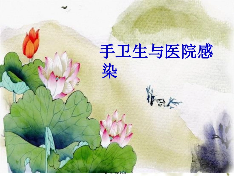 PPT3-手卫生与医院感染_第1页